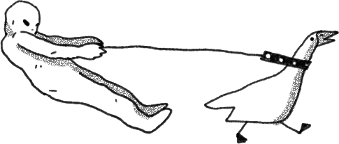 duck