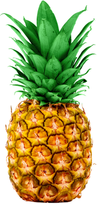 Cash App Boost Pineapple